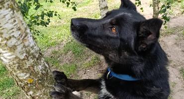 Fiona