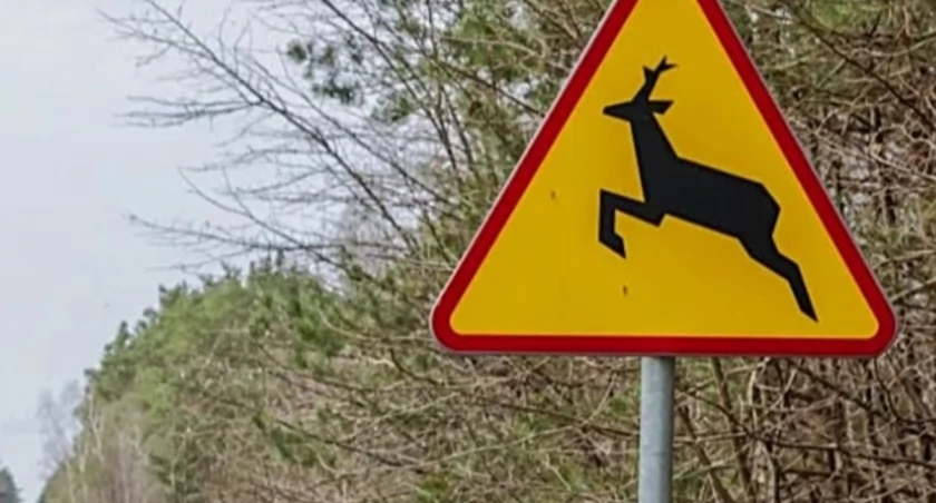 Zdjęcie ilustracyjne. Fot. archiwum policji