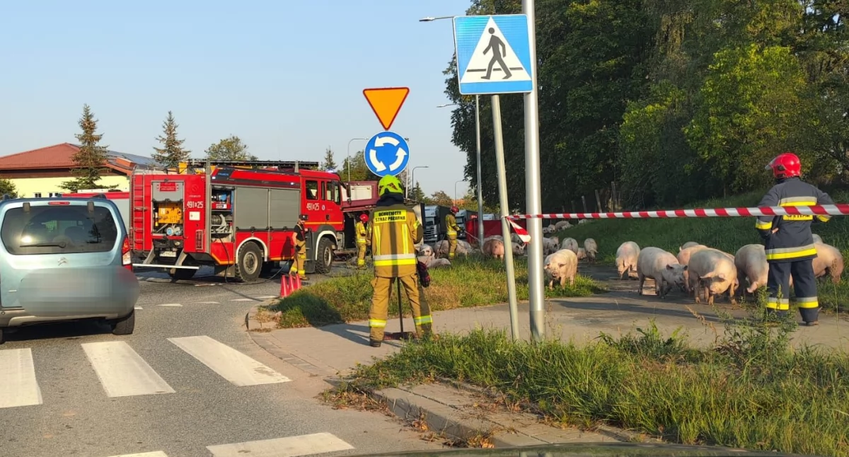 fot. KPP w Mrągowie