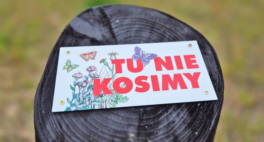 Fot. Paweł Krasowski
