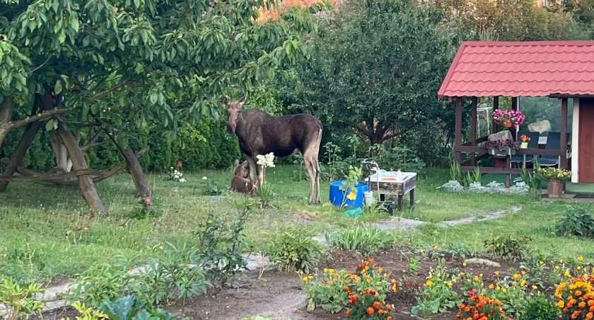Fot. OSP Mikołajki / Facebook
