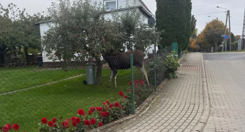 Fot. KPP w Mrągowie