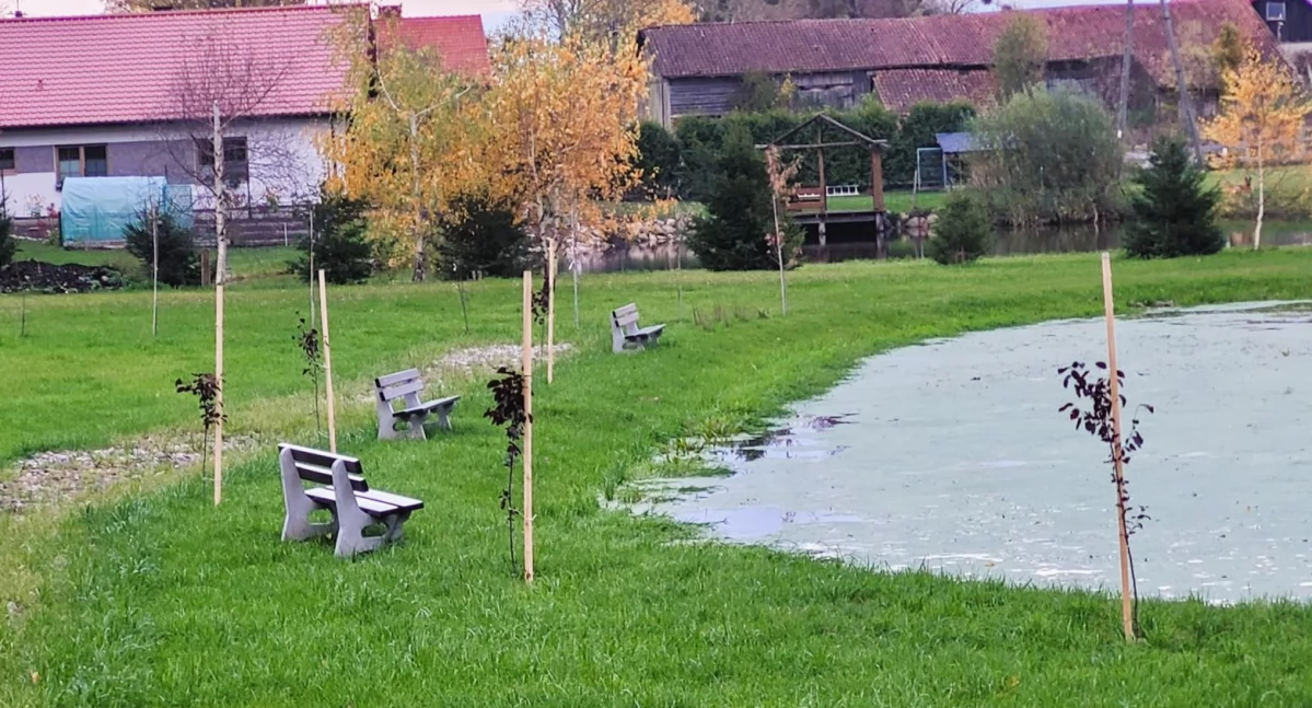 Miododajne ogrody w Gminie Sorkwity już gotowe. Fot. archiwum urzędu