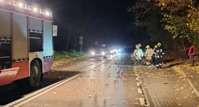 Druhowie OSP Woźnice usuwali gałęzie na drodze krajowej DK16 w miejscowości Pszczółki. Fot. OSP Woźnice