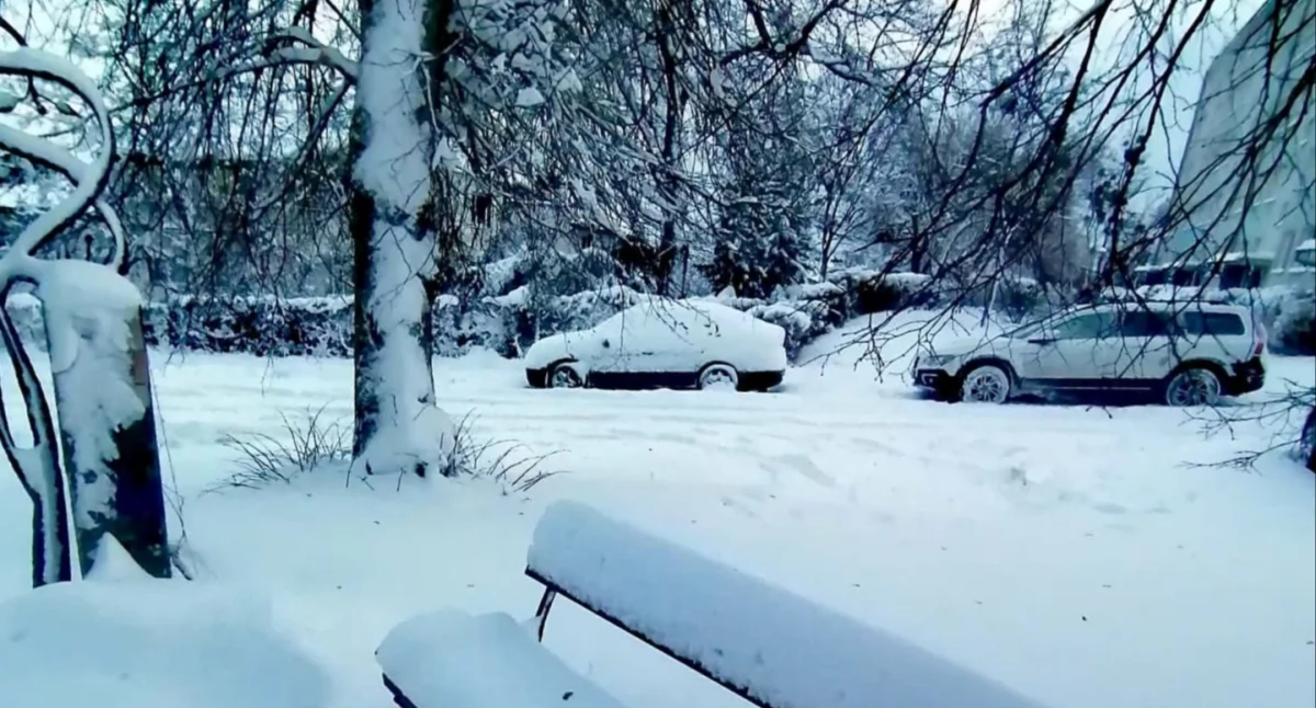 Fot. Agnieszka B. Pacek