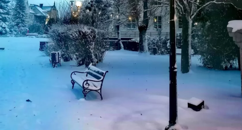 Fot. Agnieszka B. Pacek