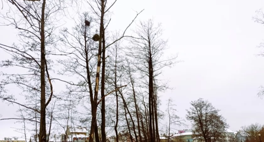 Zdjęcie ilustracyjne. Fot. Paweł Krasowski / UM w Mrągowie