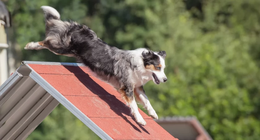 Zdjęcie ilustracyjne. Fot. Freepik