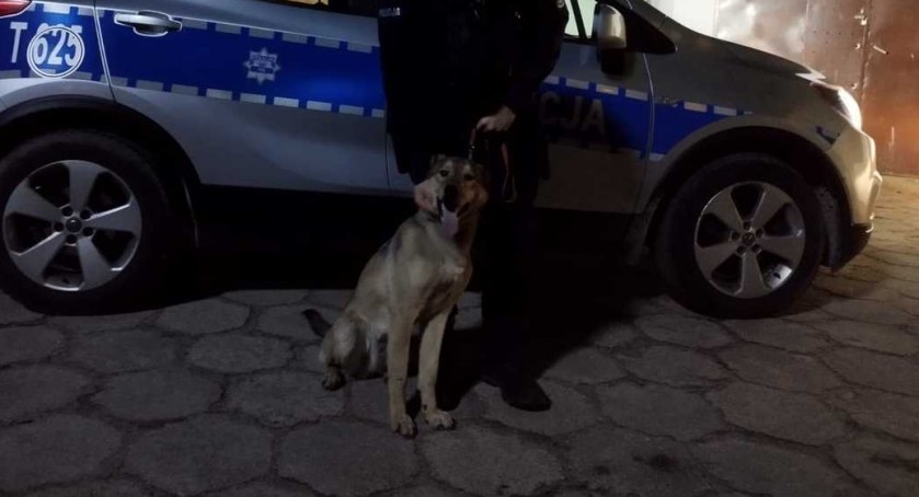 fot. archiwum policji