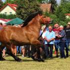 zdjęcie nr 74