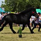 zdjęcie nr 102