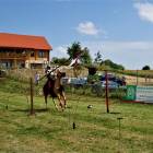 zdjęcie nr 146