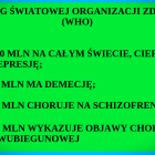 Fotka nr 1 z 2