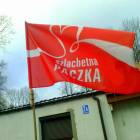 Fotka nr 5 z 46