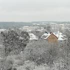 zdjęcie nr 21