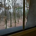 zdjęcie nr 41