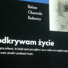zdjęcie nr 10