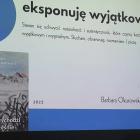 zdjęcie nr 12