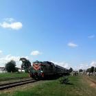 zdjęcie nr 7