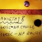 Fotka nr 5 z 29