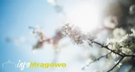 Weekend z pogodową poprawą. W Mrągowie ma być cieplej