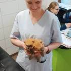 zdjęcie nr 7