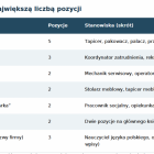  Uwaga: dwie podobne oferty gł&oacute;wnego księgowego i dwa wpisy operatora...