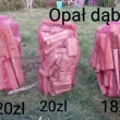 zdjęcie nr 