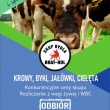 zdjęcie nr 
