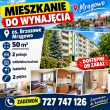 zdjęcie nr 