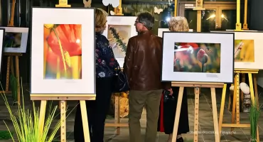 Wystawa Mirosława Kleczkowskiego zachwyca wielbicieli makrofotografii w Rynie
