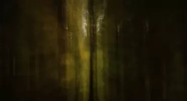 Abstrakcja fotograficzna