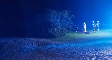 Na plaży w Warpunach spłonęło jedyne duże drzewo dające cień