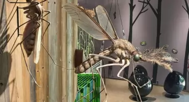 Mokradła, które ratują Mazury – niezwykła wystawa w KUMAK-u