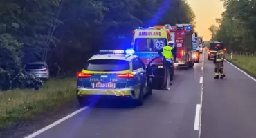 Kolejne zderzenie z łosiem w powiecie mrągowskim – kierowca miał dużo szczęścia