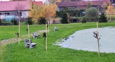 Miododajne ogrody w Gminie Sorkwity już gotowe! Zielona przestrzeń dla ludzi i pszczół