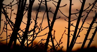 Dziś najdłuższa noc, od jutra dni będą dłuższe