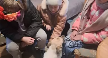 Wielkie serca najmłodszych. Uczniowie „Jedynki” wsparli zwierzęta z Arki