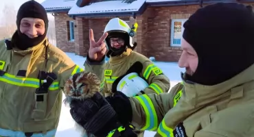 Sowa utknęła w wentylacji. Strażacy z OSP Warpuny ruszyli z pomocą
