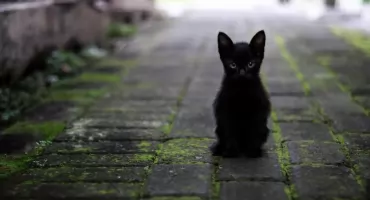 Piątek trzynastego. Czy Mrągowo ma się czego bać?