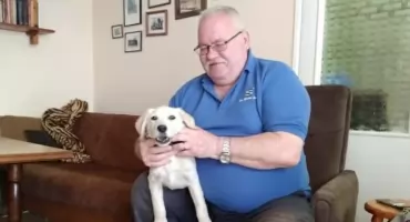 Labrador Prot został adoptowany