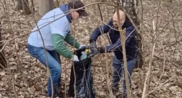 Radni i urzędnicy sprzątali okolice rzeki Dajny. Włączyli się w akcję Czysta Rzeka