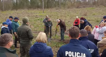 Posadzili ponad 2000 dębów w okolicy Mrągowa - na rzecz wspólnego dobra