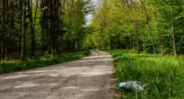 Tajemniczy bohater sprząta lasy pod Mrągowem. Jego działania mówią więcej niż tysiące słów