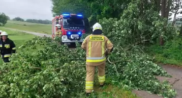 Silny wiatr nad powiatem mrągowskim. Strażacy usuwają powalone drzewa z dróg