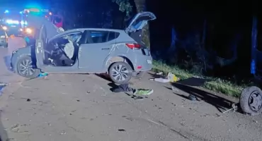 Na trasie Zyndaki-Gązwa samochód uderzył w drzewo. Zwierzę wbiegło na jezdnię