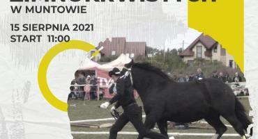 Zapraszamy do Muntowa na wystawę koni! Będzie można podziwiać, klaskać i... zjeść coś smacznego
